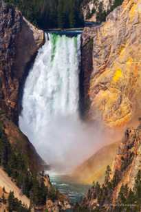 Yellowstone Falls-7642.jpg